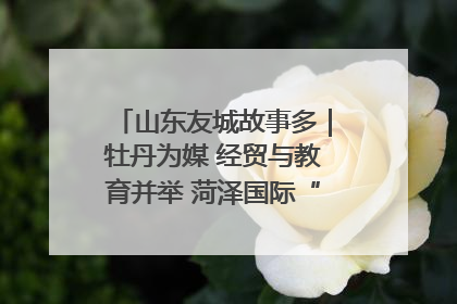山东友城故事多｜牡丹为媒 经贸与教育并举 菏泽国际“朋友圈”扩容升级