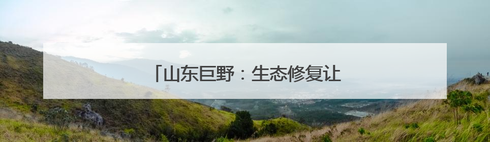 山东巨野：生态修复让废弃矿山变绿水青山