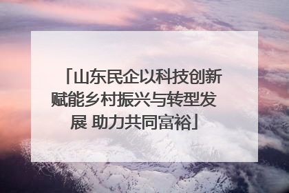 山东民企以科技创新赋能乡村振兴与转型发展 助力共同富裕