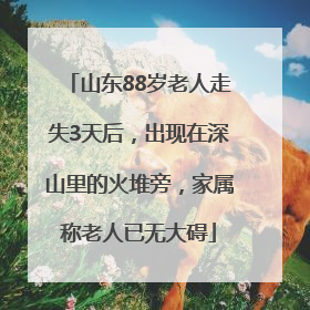 山东88岁老人走失3天后，出现在深山里的火堆旁，家属称老人已无大碍