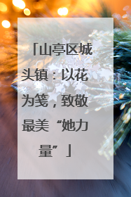 山亭区城头镇：以花为笺，致敬最美“她力量”