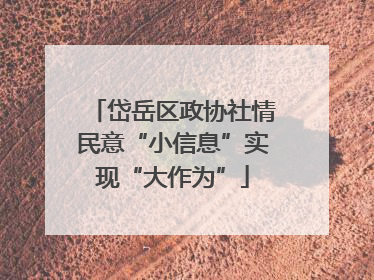 岱岳区政协社情民意“小信息”实现“大作为”