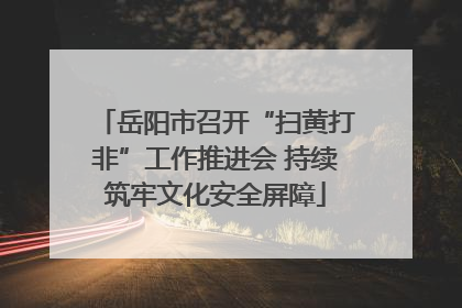 岳阳市召开“扫黄打非”工作推进会 持续筑牢文化安全屏障