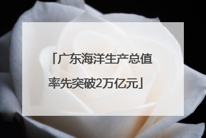 广东海洋生产总值率先突破2万亿元