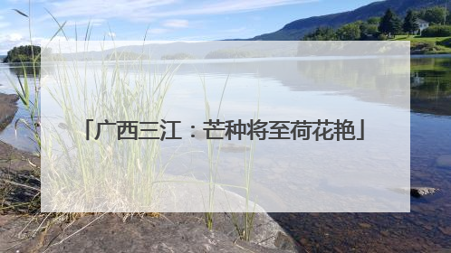 广西三江：芒种将至荷花艳