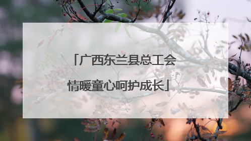 广西东兰县总工会情暖童心呵护成长