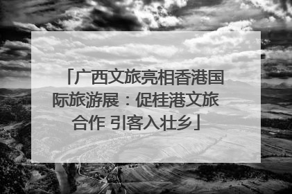 广西文旅亮相香港国际旅游展：促桂港文旅合作 引客入壮乡