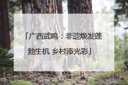广西武鸣：非遗焕发蓬勃生机 乡村添光彩