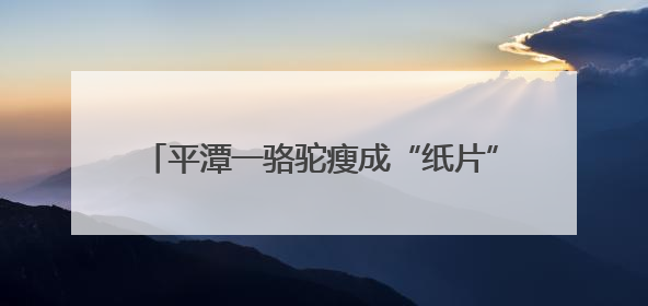 平潭一骆驼瘦成“纸片”引发关注！部门已介入