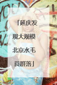 延庆发现大规模北京水毛茛群落