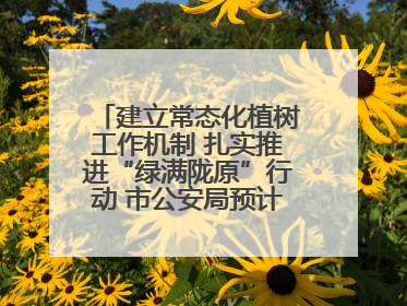 建立常态化植树工作机制 扎实推进“绿满陇原”行动 市公安局预计年底前完成1402亩绿化任务