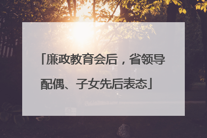 廉政教育会后，省领导配偶、子女先后表态
