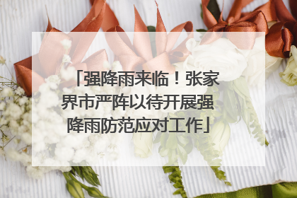 强降雨来临！张家界市严阵以待开展强降雨防范应对工作