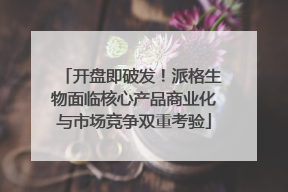 开盘即破发！派格生物面临核心产品商业化与市场竞争双重考验