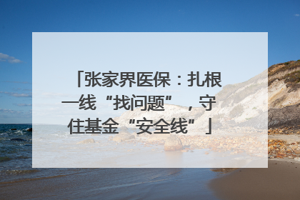 张家界医保：扎根一线“找问题”，守住基金“安全线”