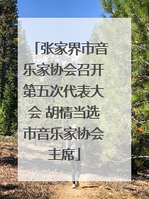 张家界市音乐家协会召开第五次代表大会 胡情当选市音乐家协会主席