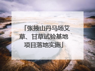 张掖山丹马场艾草、甘草试验基地项目落地实施