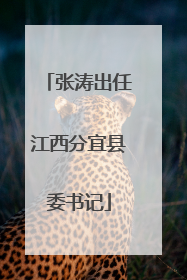 张涛出任江西分宜县委书记