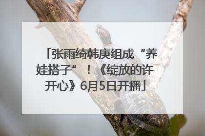 张雨绮韩庚组成“养娃搭子”！《绽放的许开心》6月5日开播