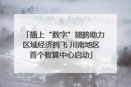 插上“数字”翅膀助力区域经济腾飞 川南地区首个智算中心启动