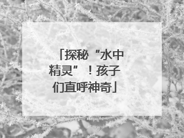 探秘“水中精灵”！孩子们直呼神奇