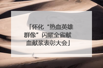 怀化“热血英雄群像”闪耀全省献血献浆表彰大会