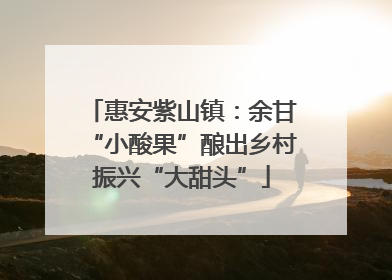 惠安紫山镇：余甘“小酸果”酿出乡村振兴“大甜头”