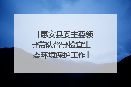 惠安县委主要领导带队督导检查生态环境保护工作