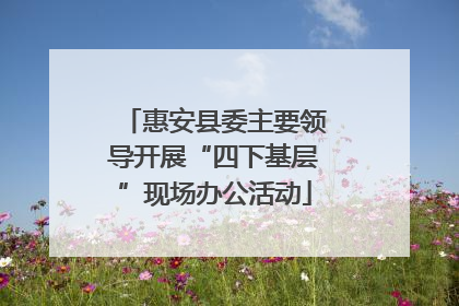 惠安县委主要领导开展“四下基层”现场办公活动