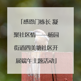 感恩门栋长 凝聚社区情——杨园街道四美塘社区开展端午主题活动