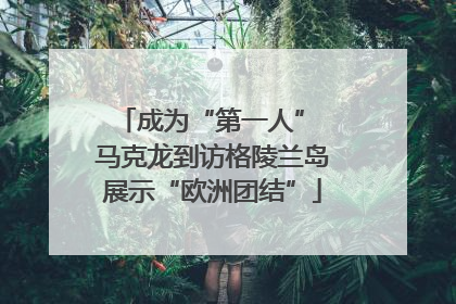 成为“第一人” 马克龙到访格陵兰岛展示“欧洲团结”