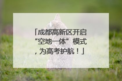 成都高新区开启“空地一体”模式，为高考护航！