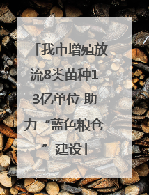 我市增殖放流8类苗种13亿单位 助力“蓝色粮仓”建设
