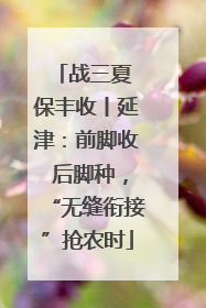战三夏 保丰收丨延津：前脚收 后脚种，“无缝衔接”抢农时