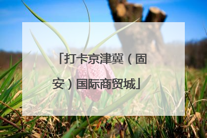 打卡京津冀（固安）国际商贸城