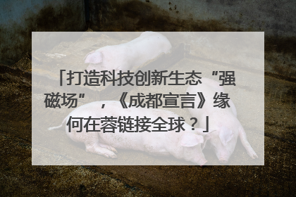 打造科技创新生态“强磁场”，《成都宣言》缘何在蓉链接全球？