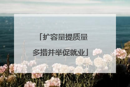 扩容量提质量 多措并举促就业