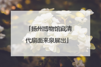 扬州博物馆藏清代扇面来泉展出