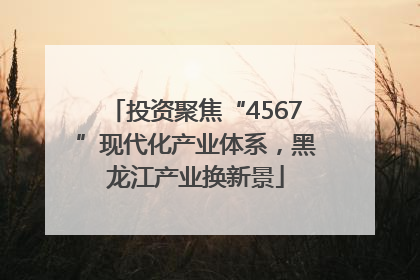 投资聚焦“4567”现代化产业体系，黑龙江产业换新景
