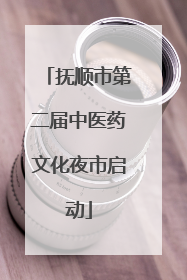 抚顺市第二届中医药文化夜市启动