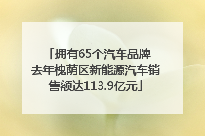 拥有65个汽车品牌 去年槐荫区新能源汽车销售额达113.9亿元