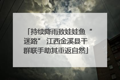 持续降雨致娃娃鱼“迷路” 江西金溪县干群联手助其重返自然