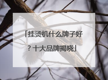 挂烫机什么牌子好？十大品牌揭晓