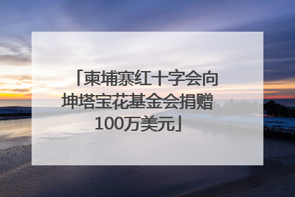 柬埔寨红十字会向坤塔宝花基金会捐赠100万美元