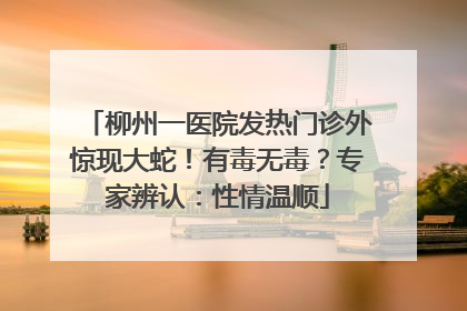 柳州一医院发热门诊外惊现大蛇！有毒无毒？专家辨认：性情温顺