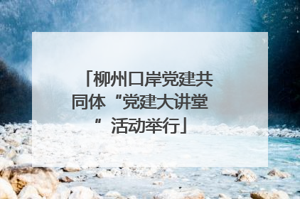 柳州口岸党建共同体“党建大讲堂”活动举行