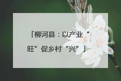 柳河县：以产业“旺”促乡村“兴”