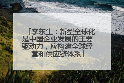 李东生：新型全球化是中国企业发展的主要驱动力，应构建全球经营和供应链体系