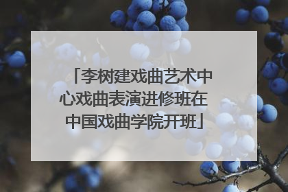 李树建戏曲艺术中心戏曲表演进修班在中国戏曲学院开班