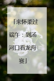 来怀柔过端午：到汤河口看龙舟赛